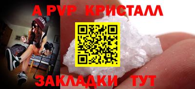 соль ск Бердск