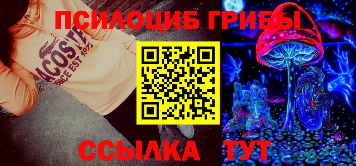 Псилоцибиновые грибы Psilocybe Артём