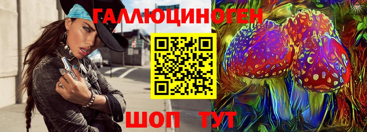 Артём  Галлюциногенные грибы мухоморы  Вход с VPN 