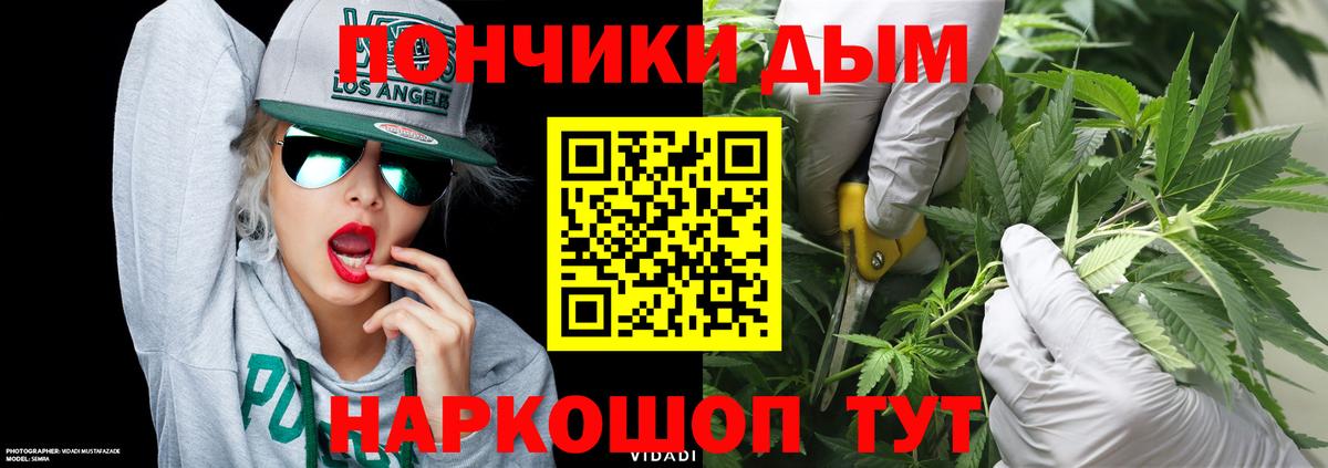 Шишки марихуана тримм  Вход с VPN  Конопля марихуана  Шишки марихуана план  Артём  Бошки марихуана THC 21% 